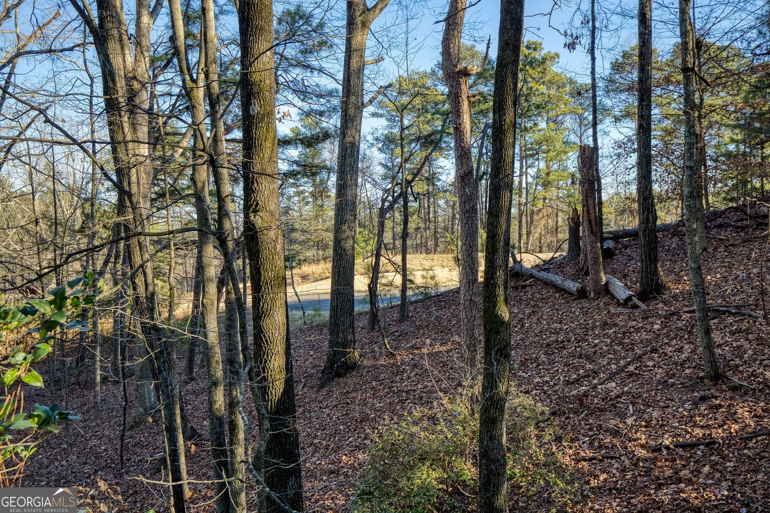 40 Mt Whitney Place Johns Creek - Photo 51