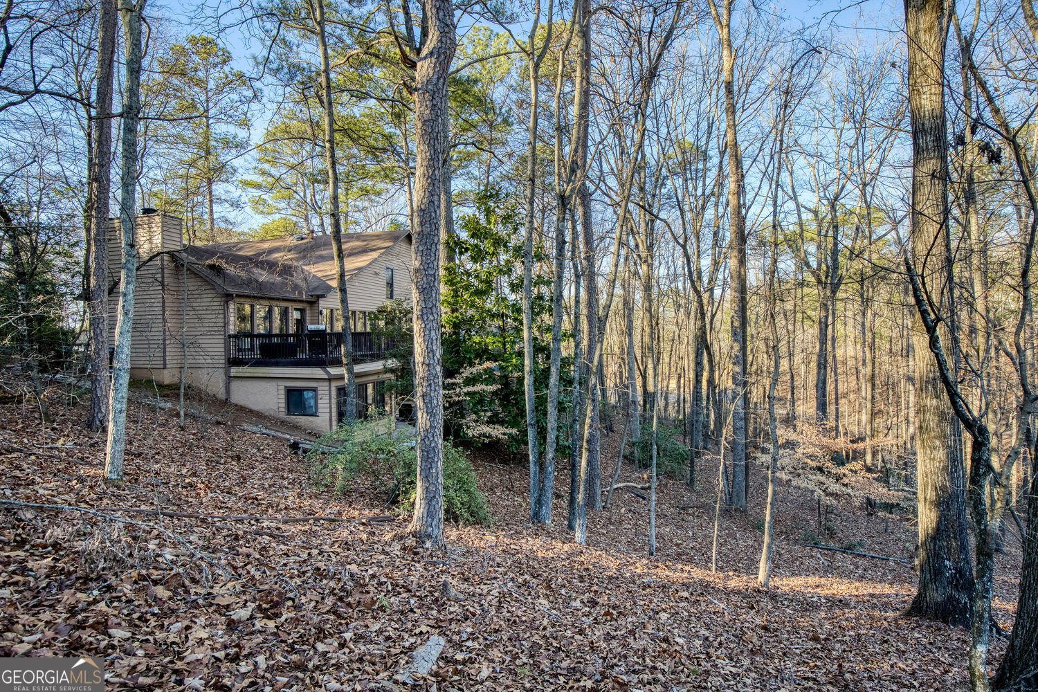 40 Mt Whitney Place Johns Creek - Photo 62
