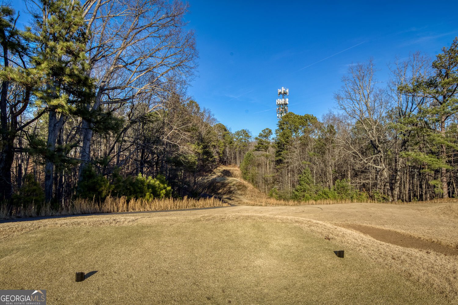 40 Mt Whitney Place Johns Creek - Photo 66