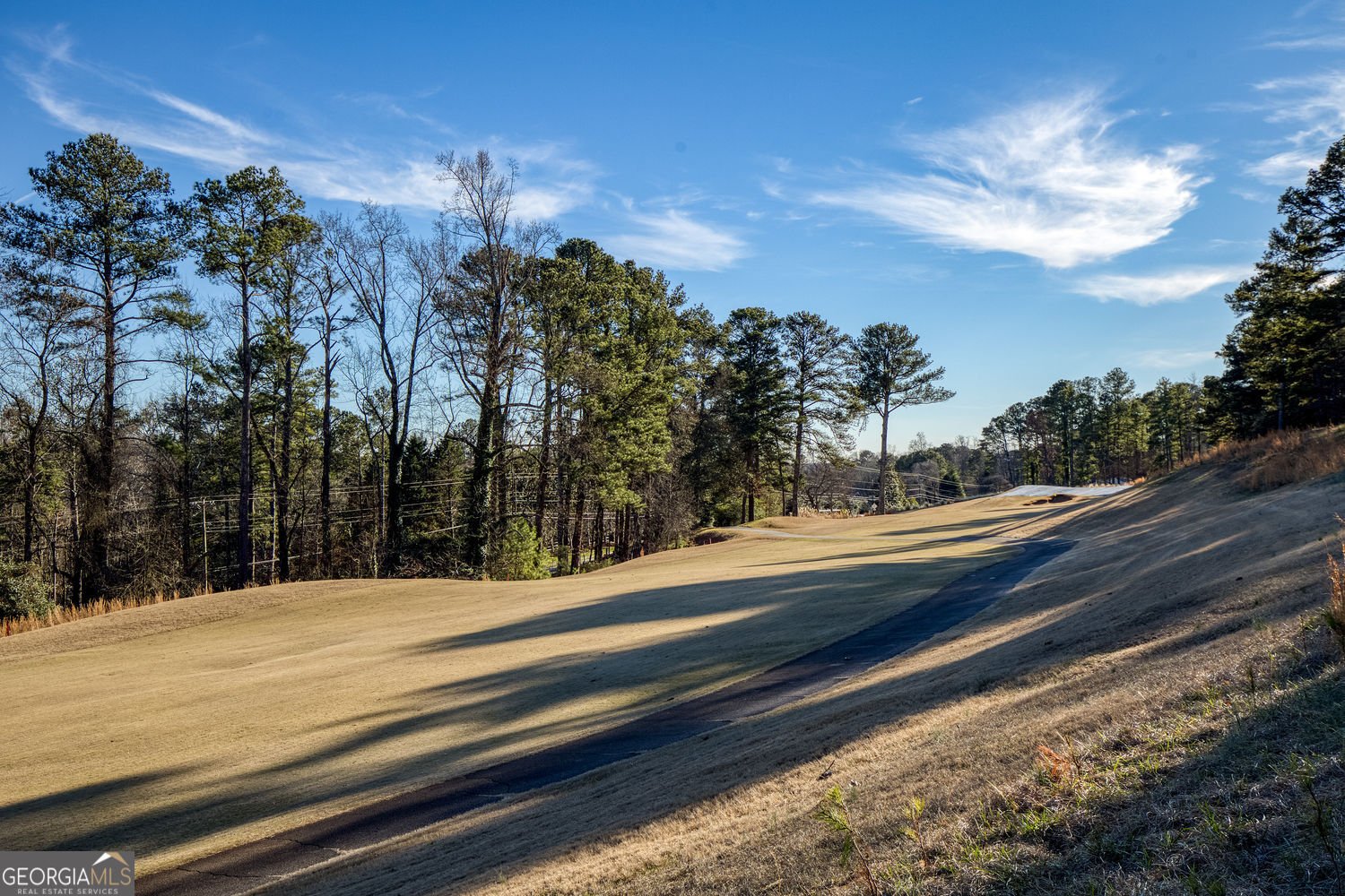 40 Mt Whitney Place Johns Creek - Photo 73