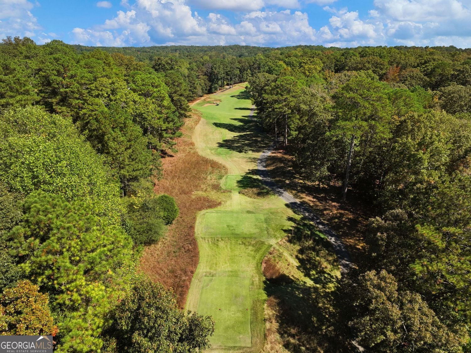 40 Mt Whitney Place Johns Creek - Photo 9