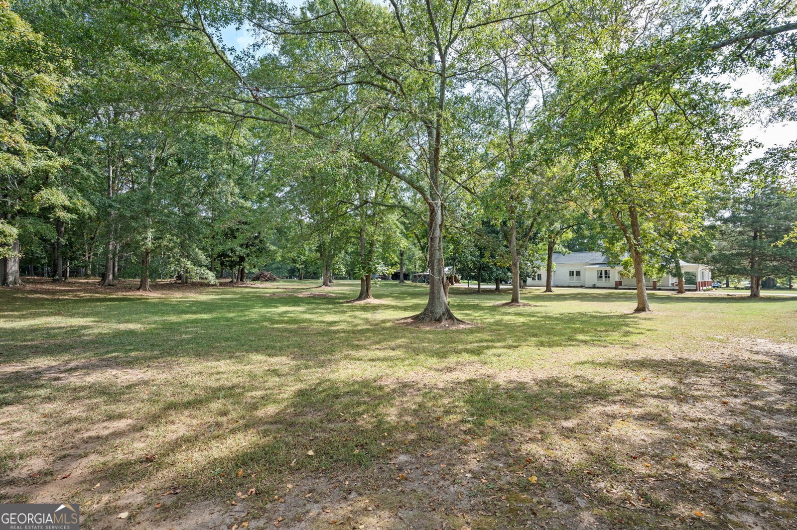 234 Main Street Rutledge - Photo 57