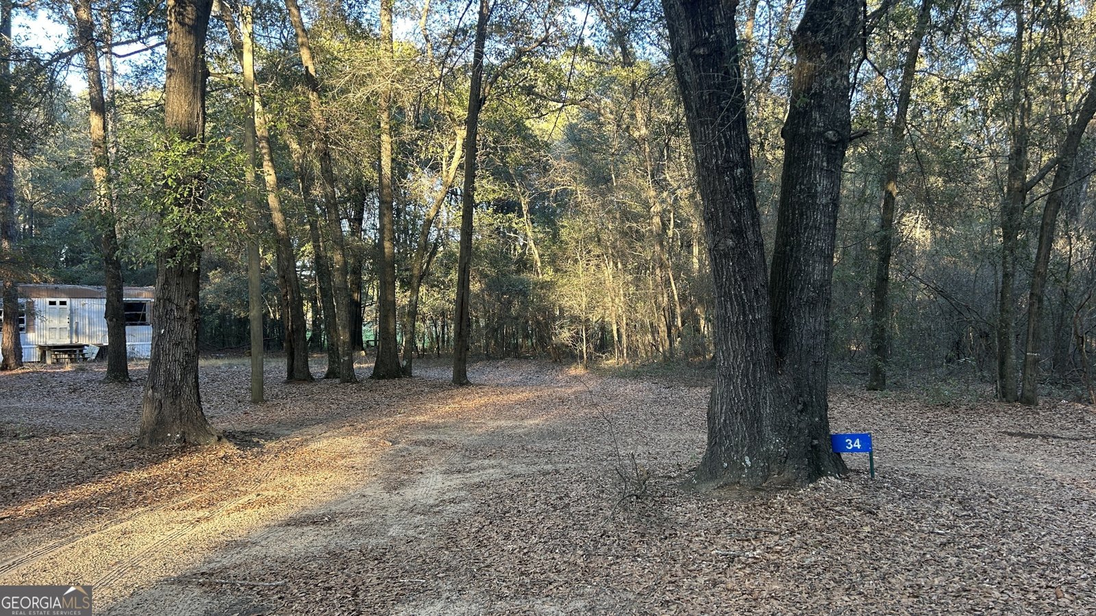 34 Hall Road Hawkinsville - Photo 10