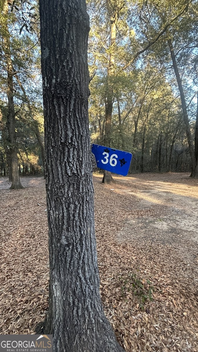 34 Hall Road Hawkinsville - Photo 12