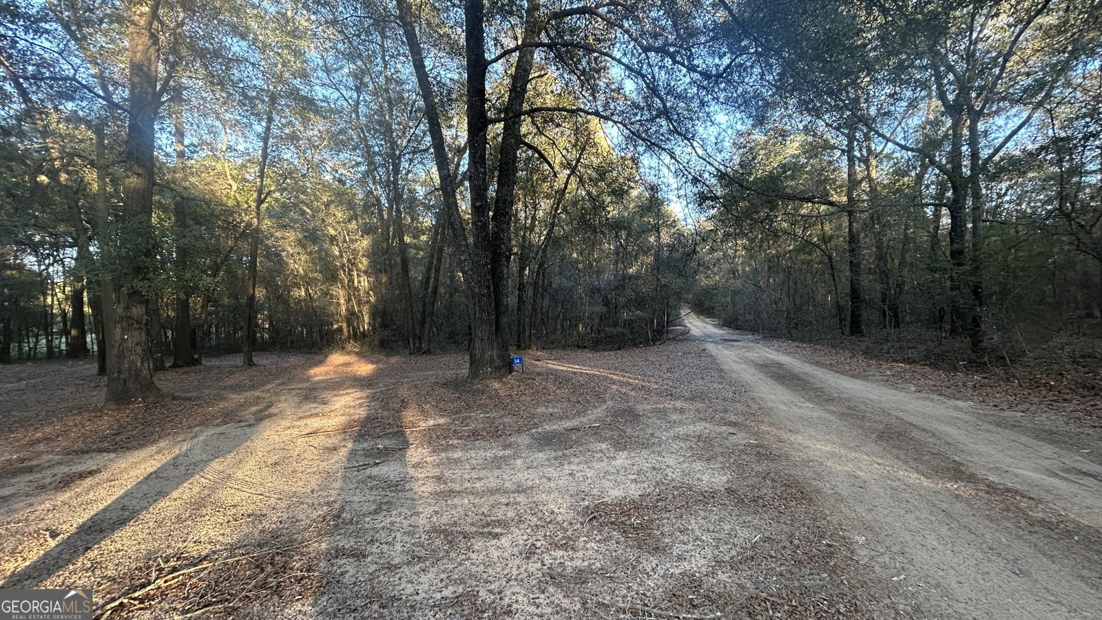 34 Hall Road Hawkinsville - Photo 14