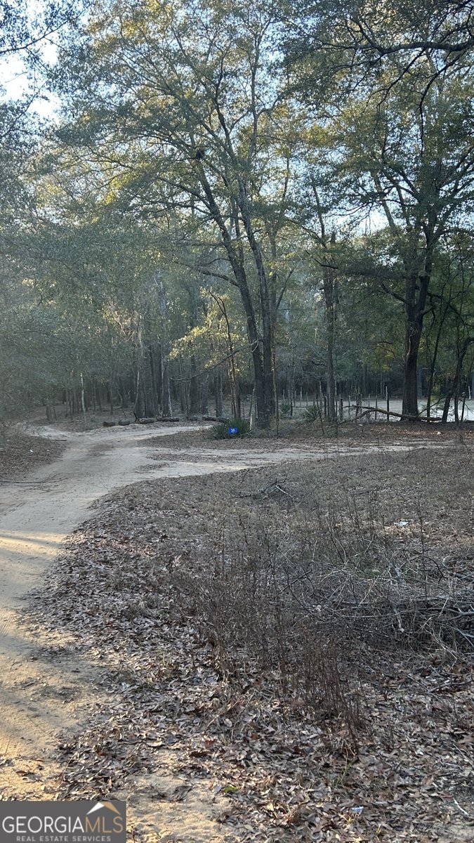 34 Hall Road Hawkinsville - Photo 15