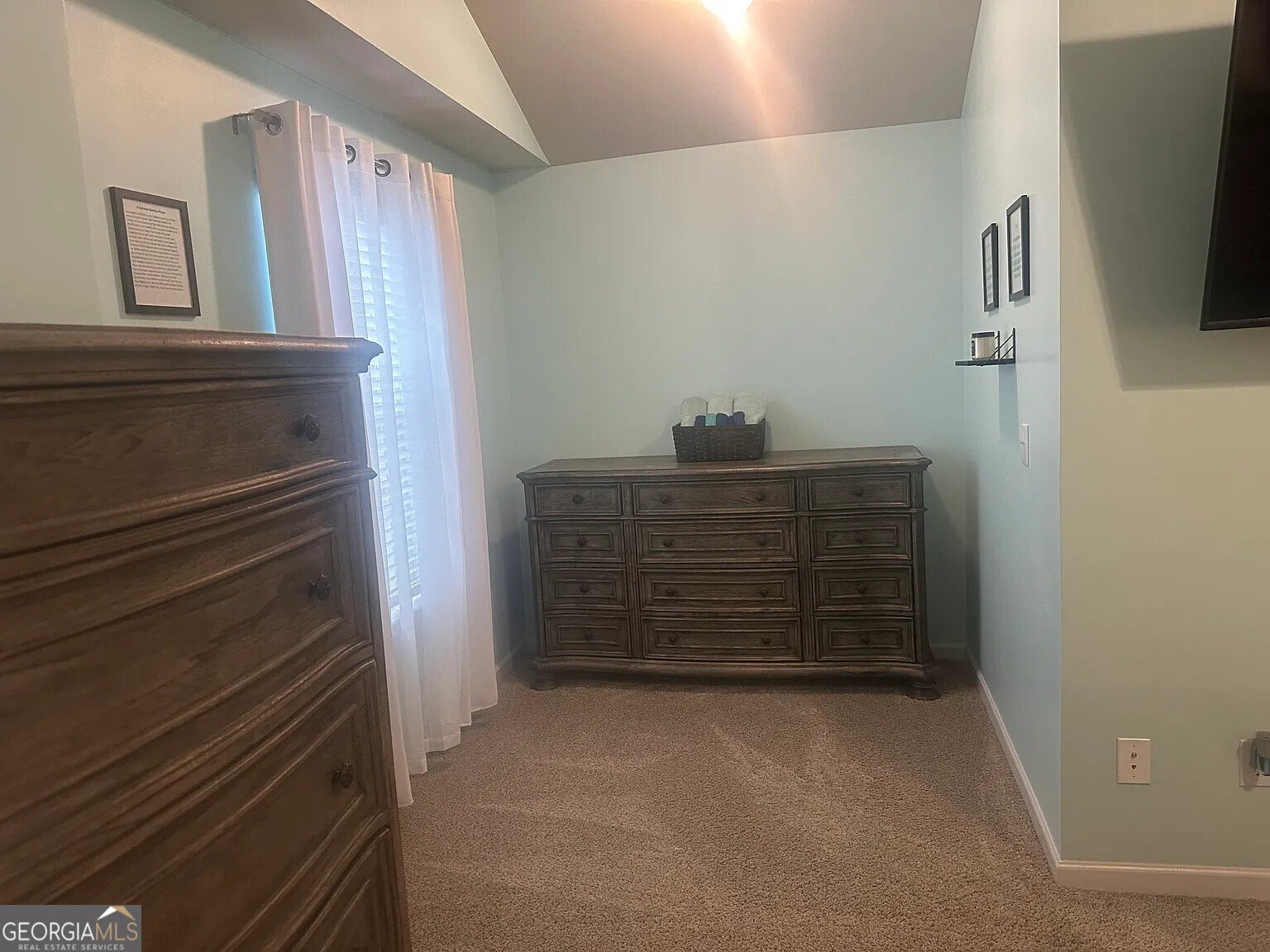 1050 McConaughy Court McDonough - Photo 15