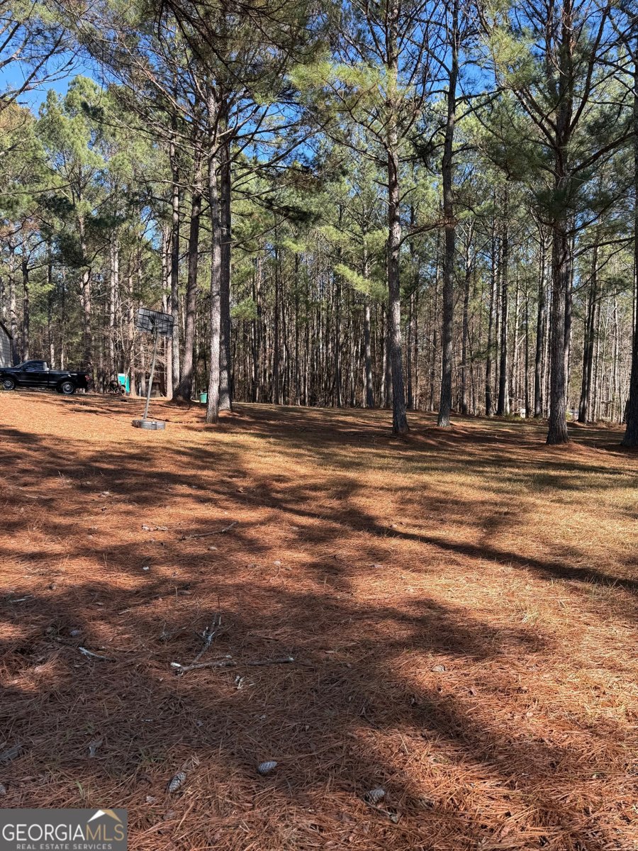 670 Jefferies Road Shady Dale - Photo 20