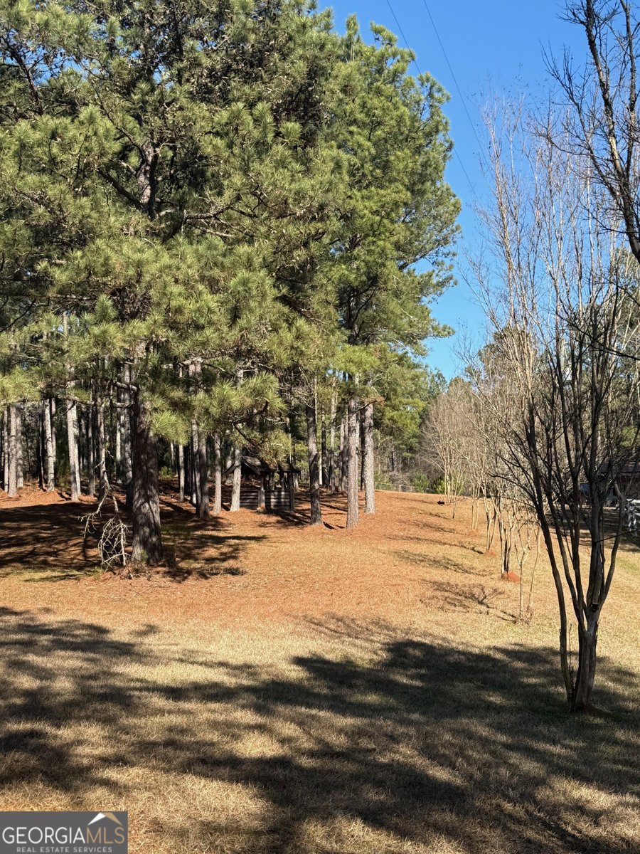 670 Jefferies Road Shady Dale - Photo 29