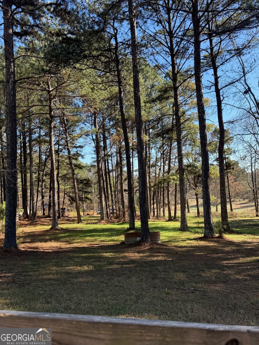 670 Jefferies Road Shady Dale - Photo 34