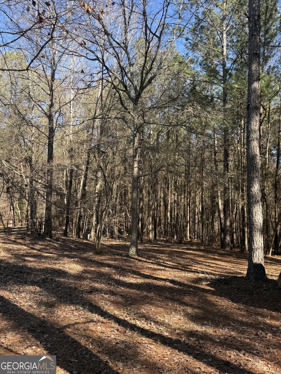 670 Jefferies Road Shady Dale - Photo 39