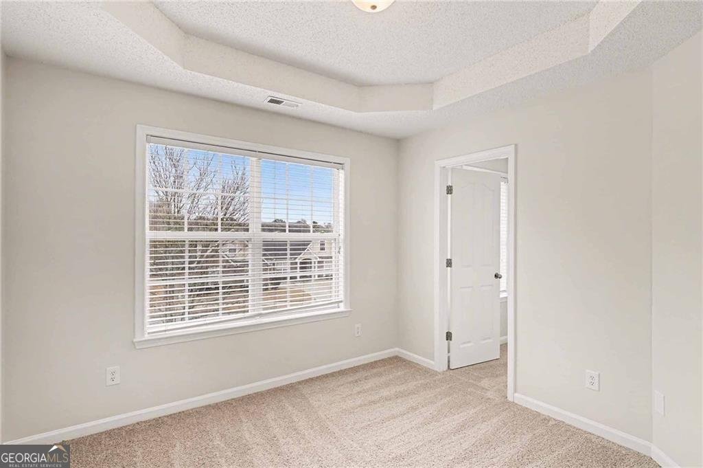 373 Vista Creek Drive Stockbridge - Photo 22