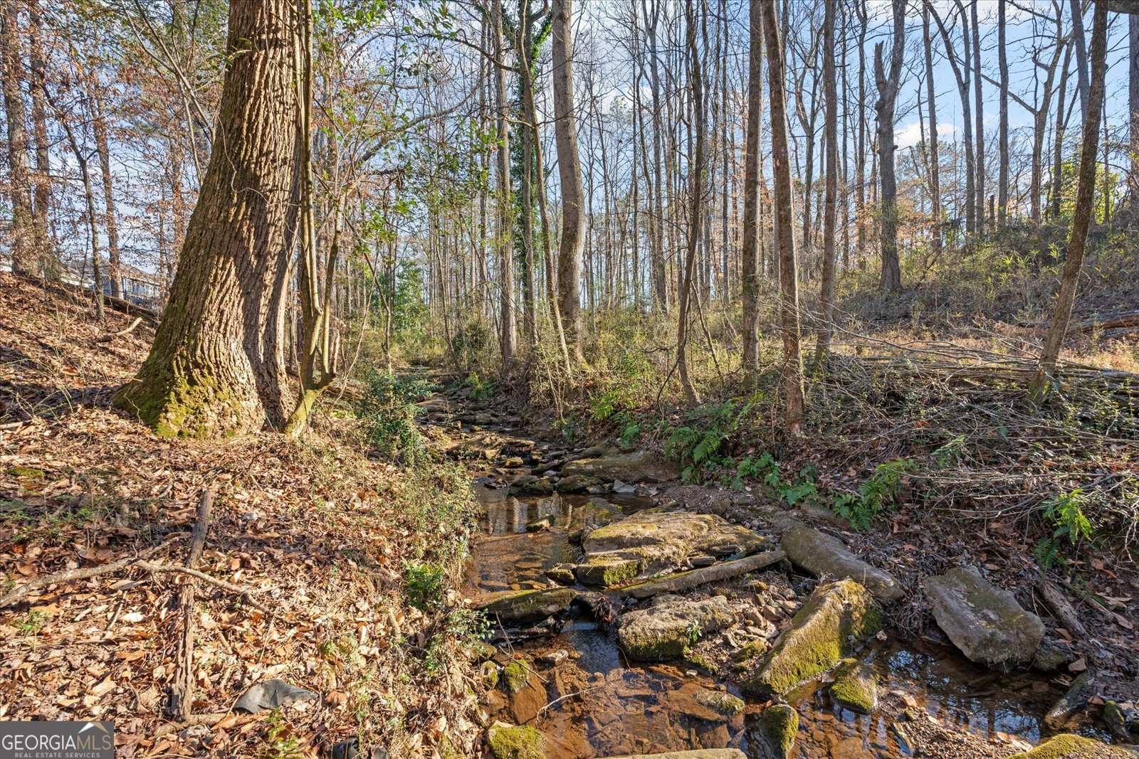 314 Wooded Glen Lane Carrollton - Photo 49