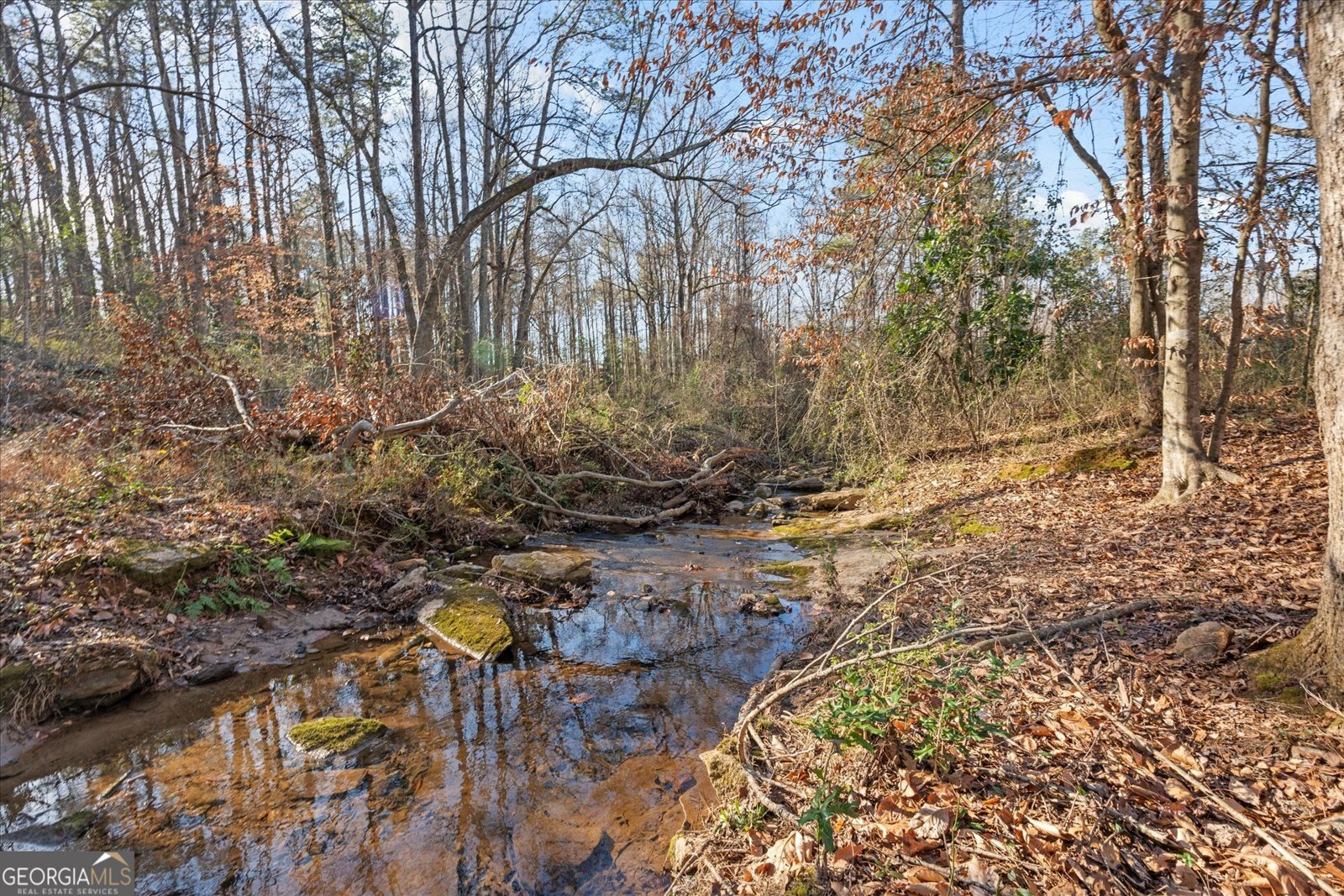 314 Wooded Glen Lane Carrollton - Photo 50