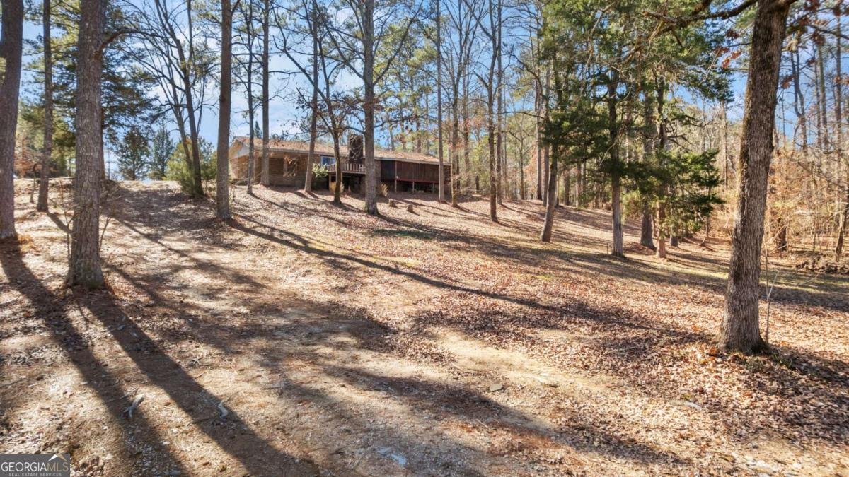 6902 Blacks Bluff Road Cave Spring - Photo 27