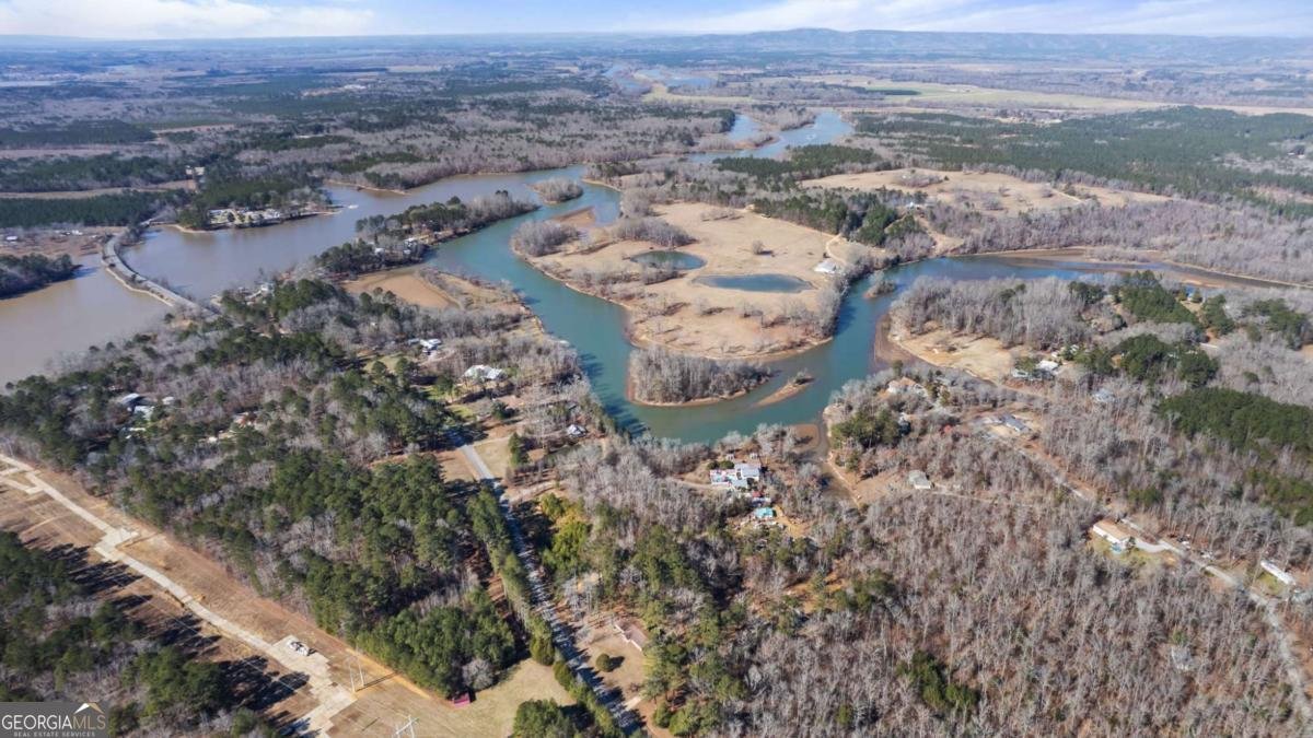 6902 Blacks Bluff Road Cave Spring - Photo 33