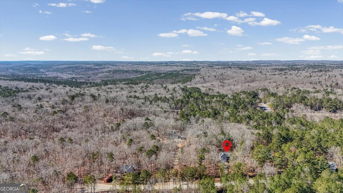 7875 Basket Creek Road Douglasville - Photo 13