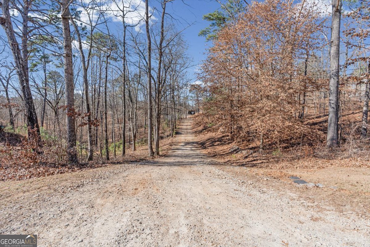 7875 Basket Creek Road Douglasville - Photo 15