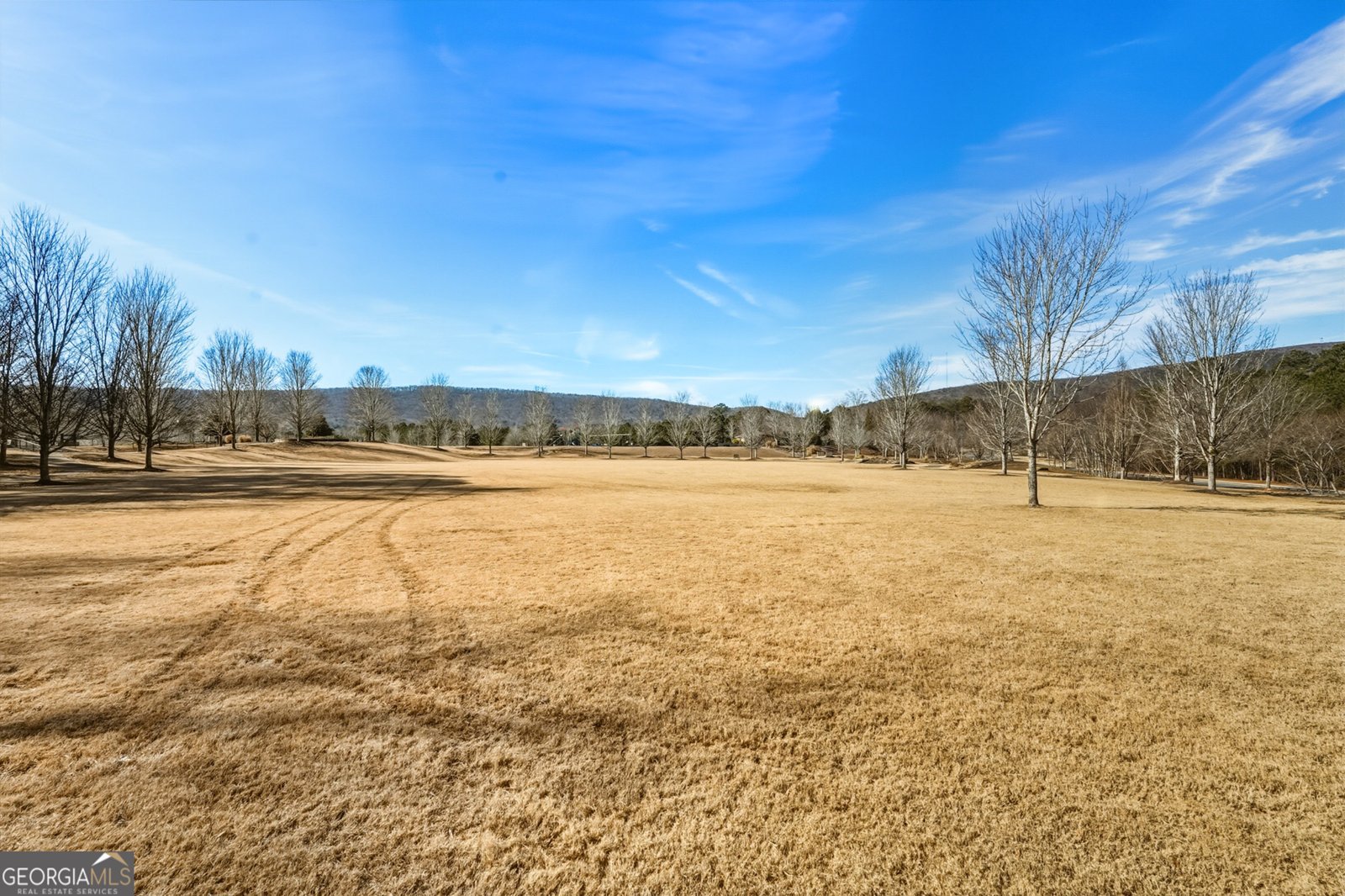 1303 Fairway Oaks Waleska - Photo 24