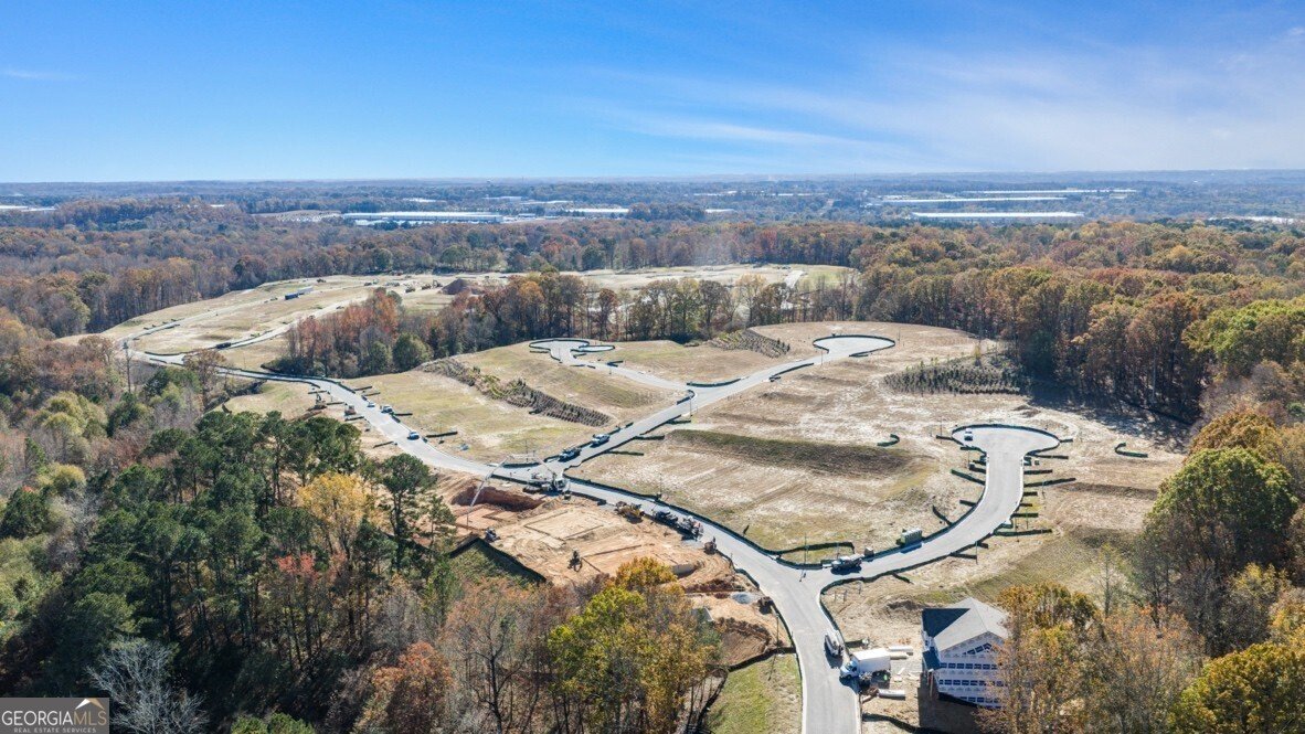 66 Capital Court Braselton - Photo 30