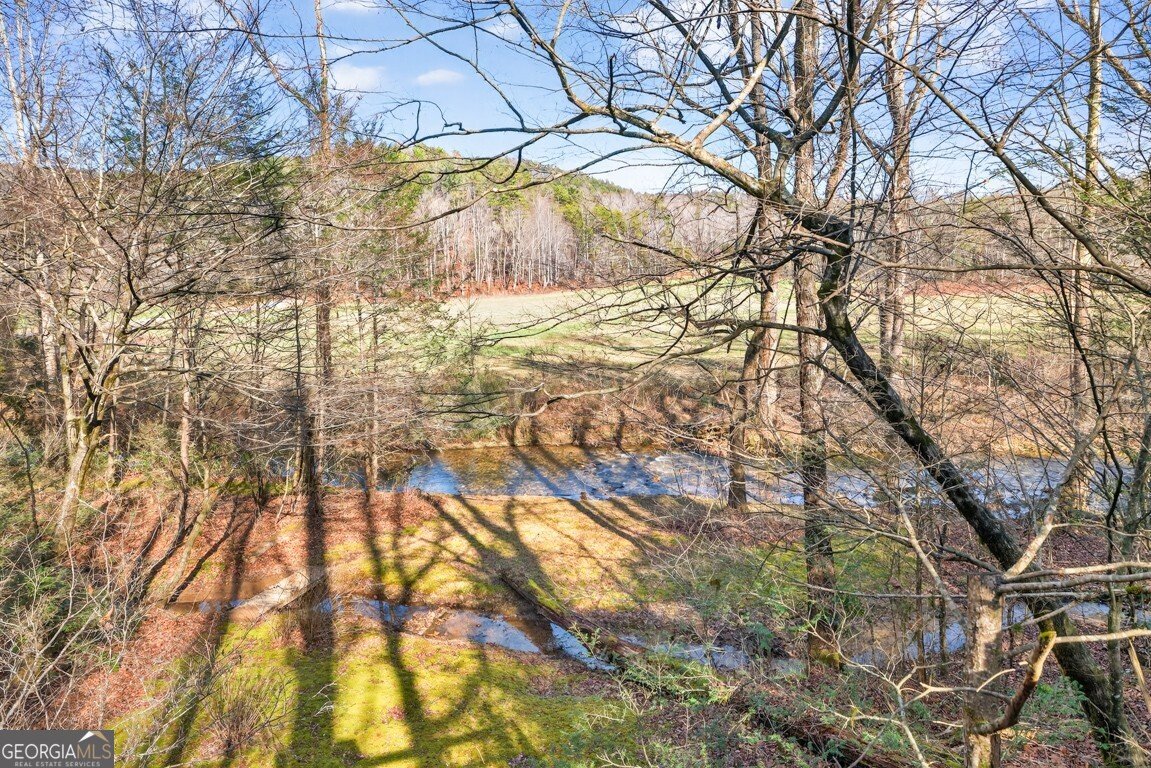 175 Laralynn Lane Clarkesville - Photo 6