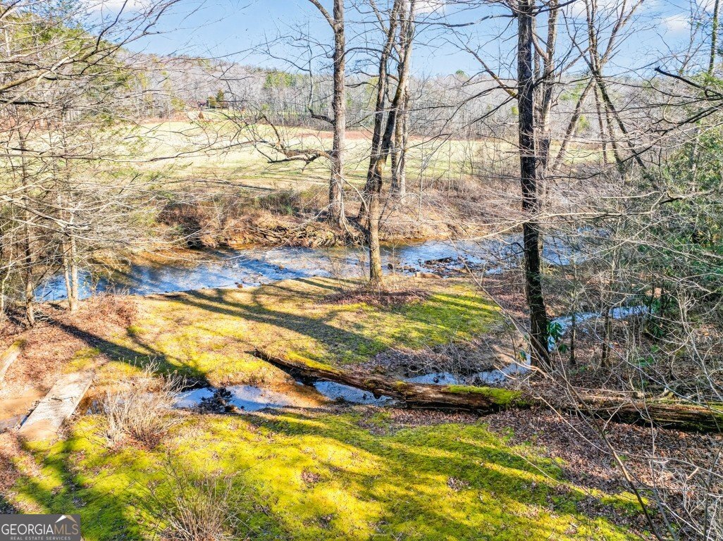 175 Laralynn Lane Clarkesville - Photo 64