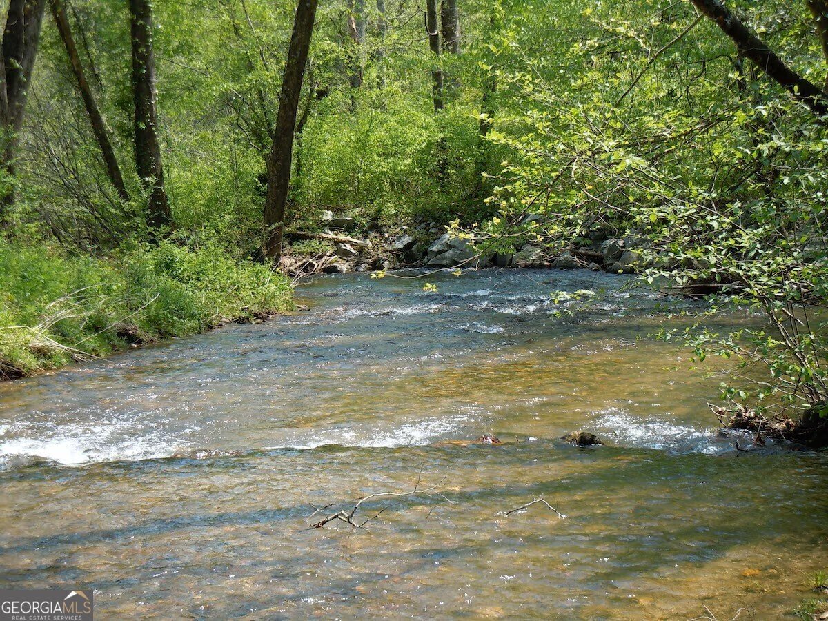 175 Laralynn Lane Clarkesville - Photo 65