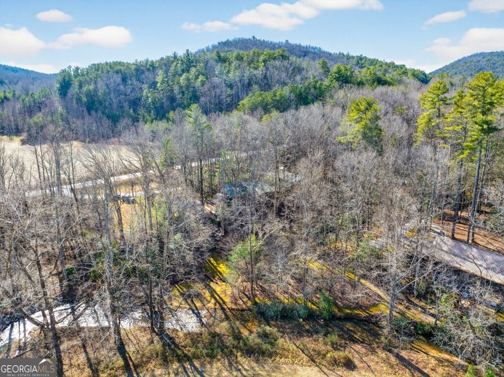 175 Laralynn Lane Clarkesville - Photo 68