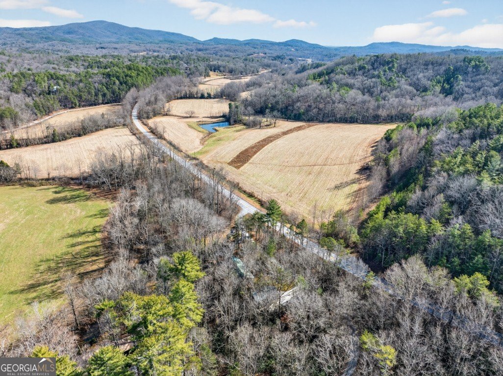 175 Laralynn Lane Clarkesville - Photo 69