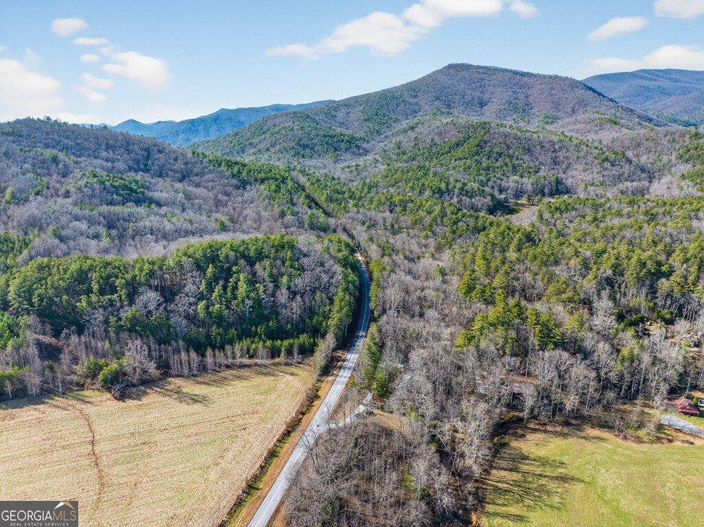 175 Laralynn Lane Clarkesville - Photo 70