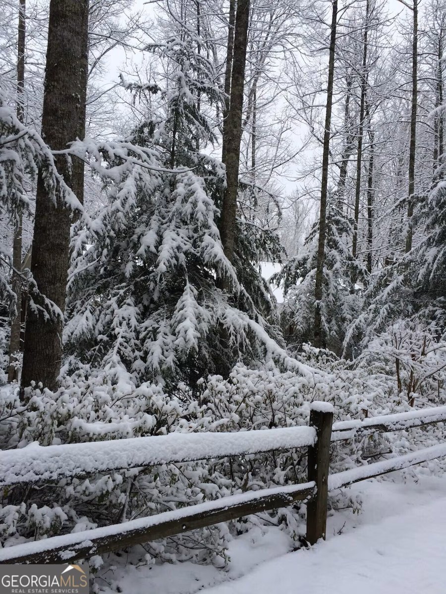 175 Laralynn Lane Clarkesville - Photo 72