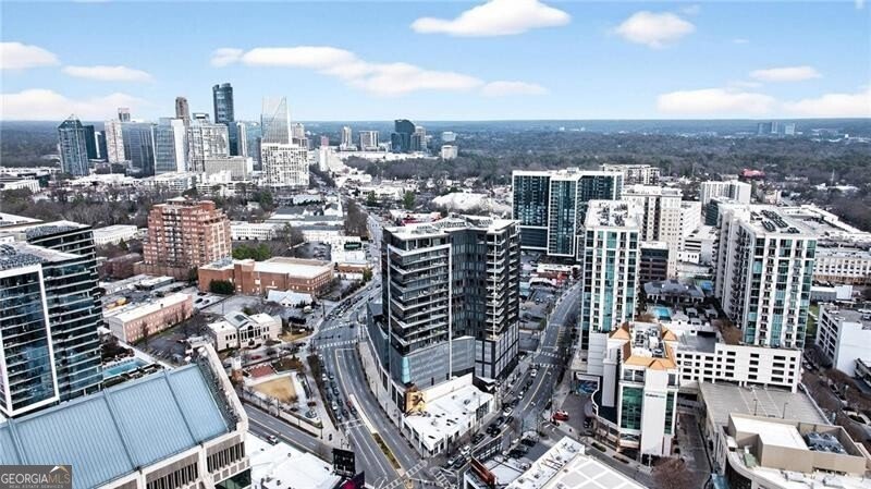 3107 Peachtree Road Atlanta - Photo 78