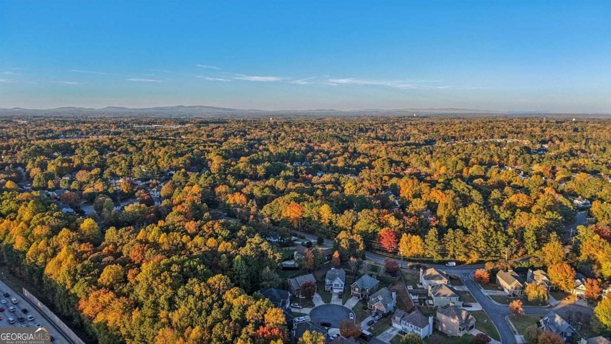 2138 Hamby Cove Drive Atlanta - Photo 59