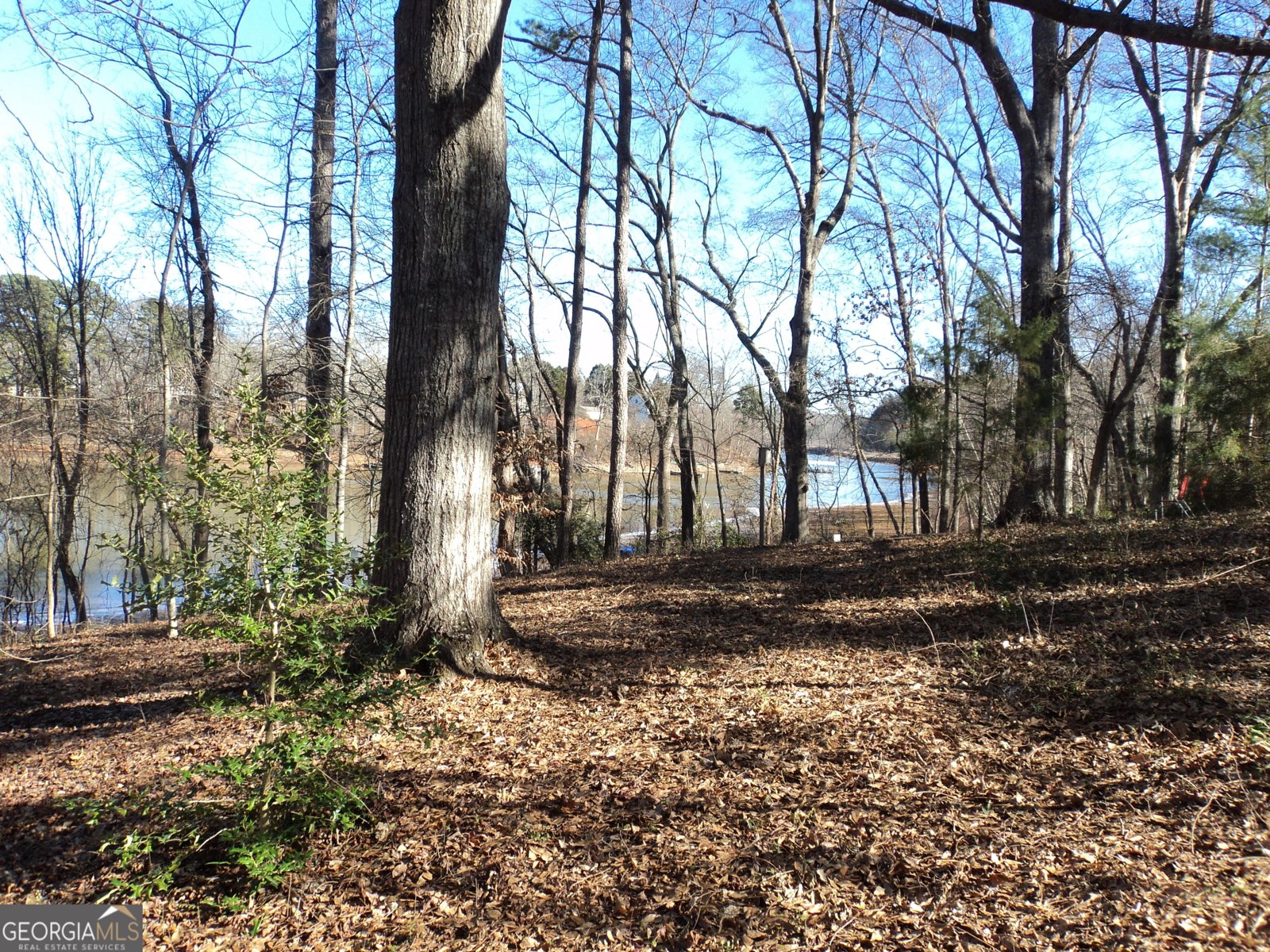 5429 Highway 123 Toccoa - Photo 20