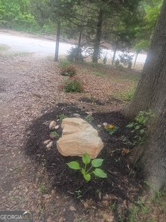 5429 Highway 123 Toccoa - Photo 31