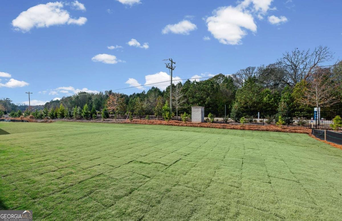 280 Nesta Grove Drive Locust Grove - Photo 30