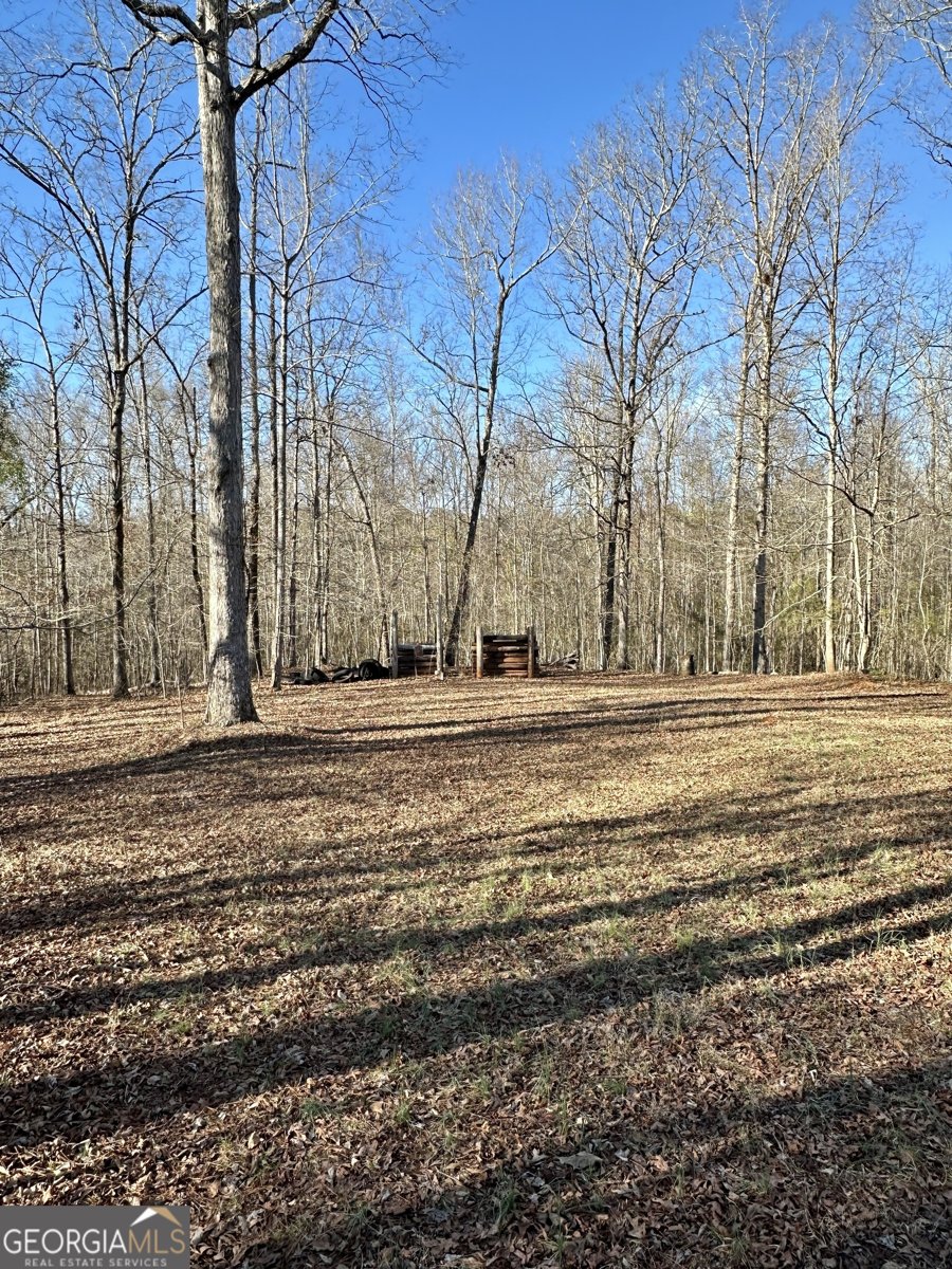 171 Hoyt Road Milner - Photo 7