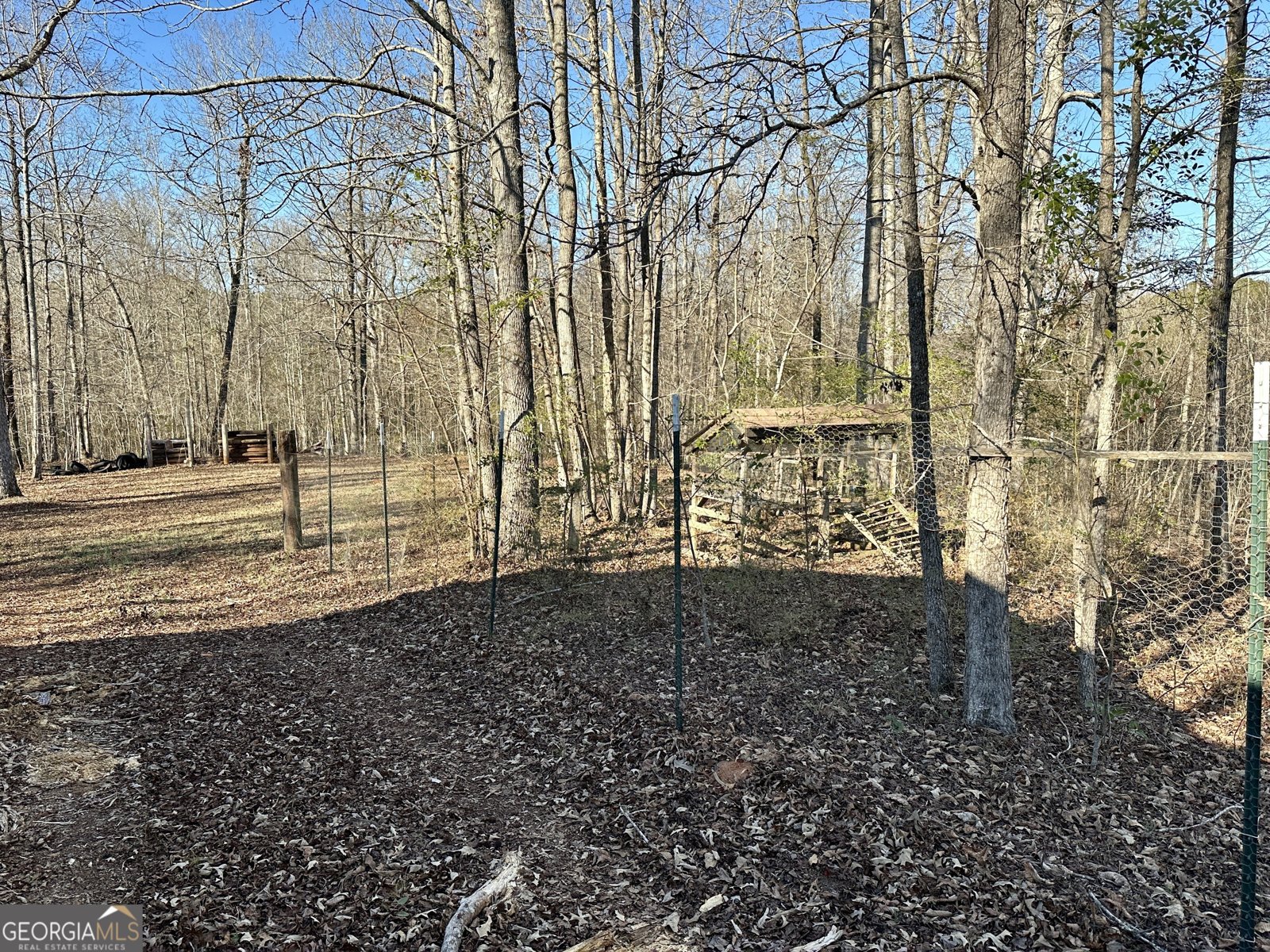 171 Hoyt Road Milner - Photo 8