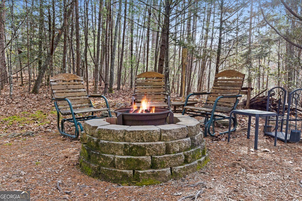 290 Turkey Trot Morganton - Photo 10