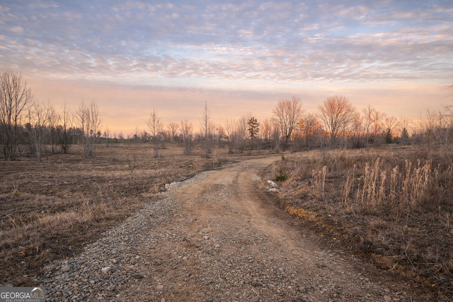 1590 Buttermilk Road Cave Spring - Photo 10