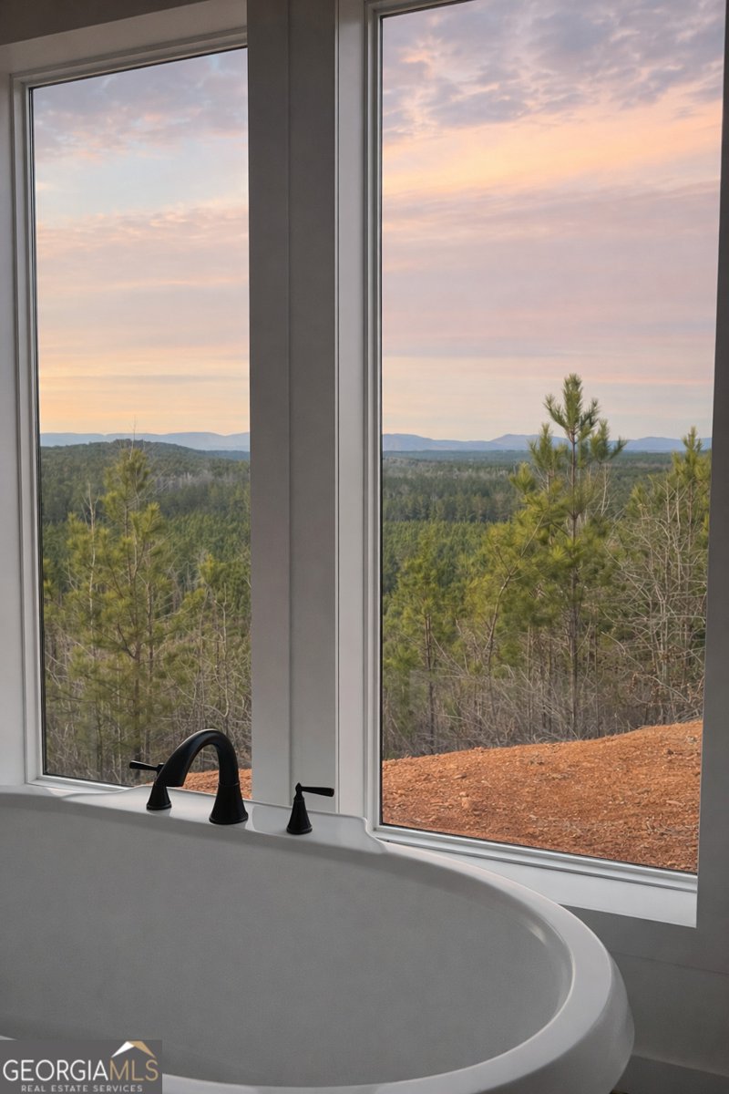 1590 Buttermilk Road Cave Spring - Photo 27