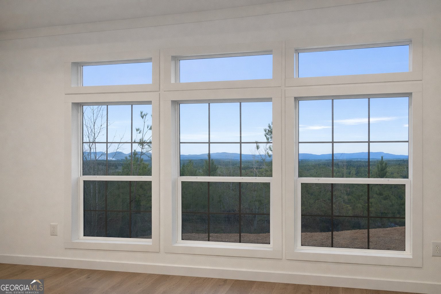 1590 Buttermilk Road Cave Spring - Photo 44