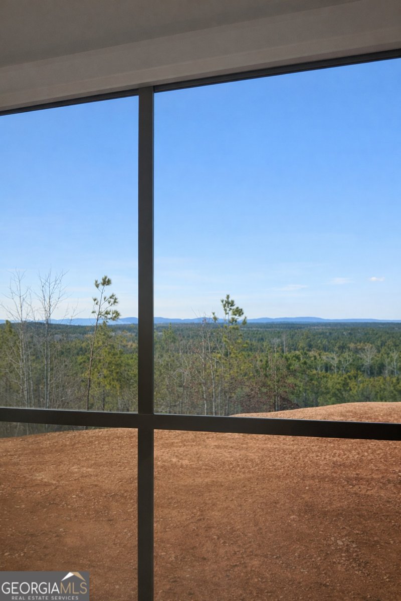 1590 Buttermilk Road Cave Spring - Photo 45