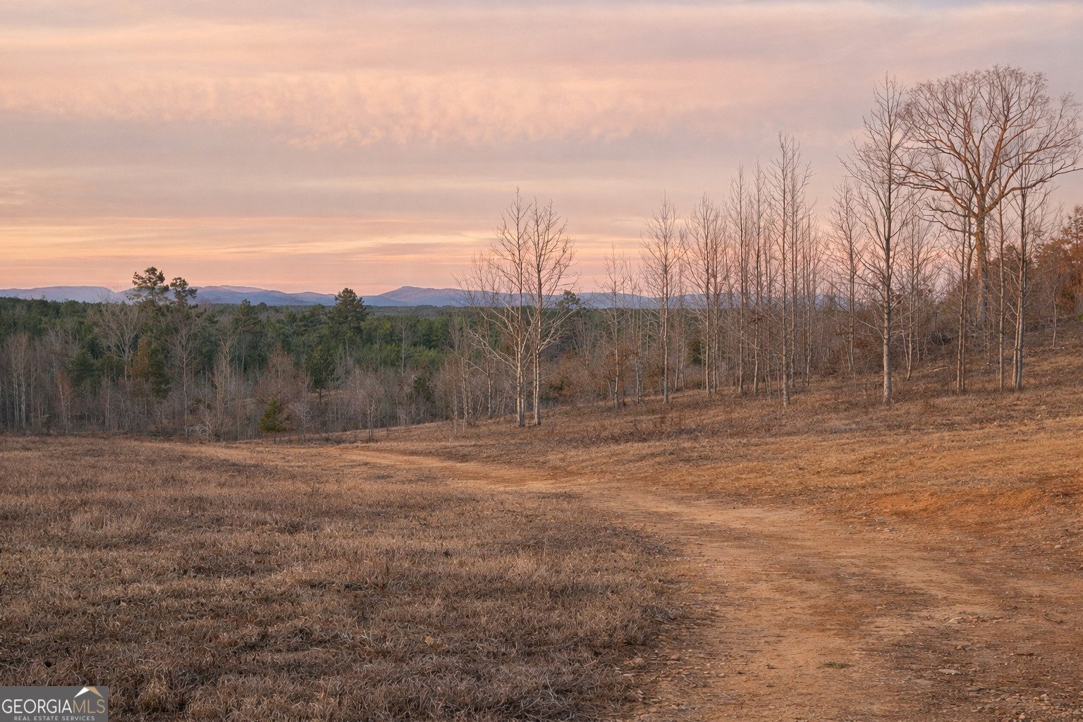 1590 Buttermilk Road Cave Spring - Photo 6