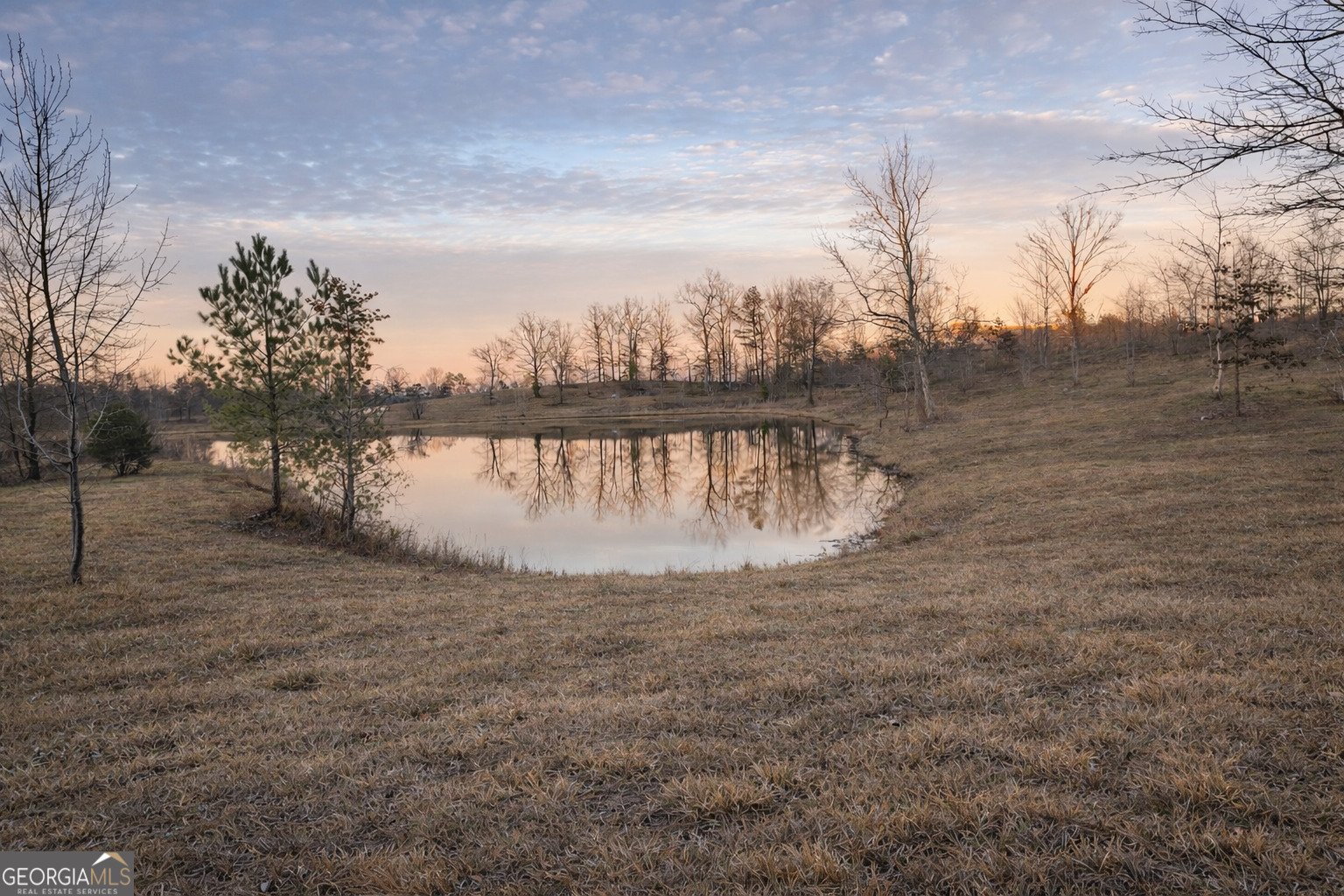 1590 Buttermilk Road Cave Spring - Photo 8