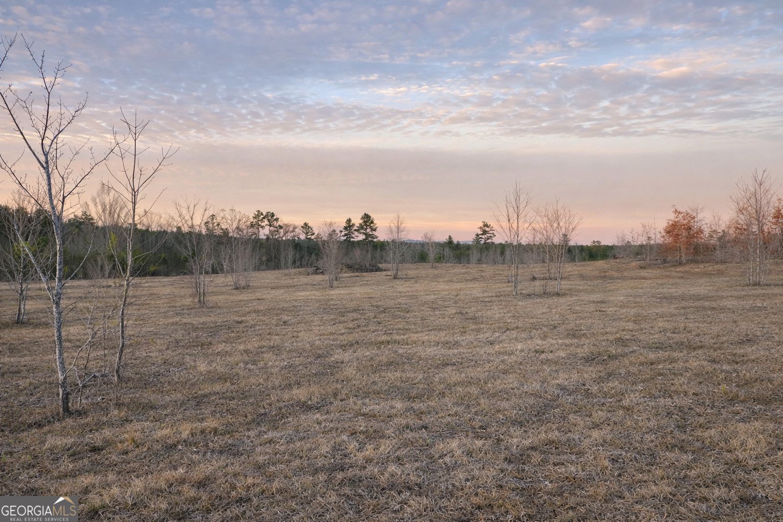 1590 Buttermilk Road Cave Spring - Photo 9