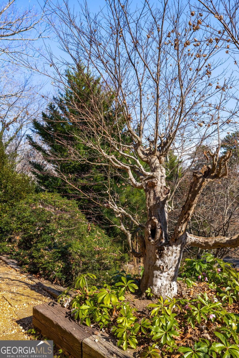 120 Overlook Drive Gainesville - Photo 47