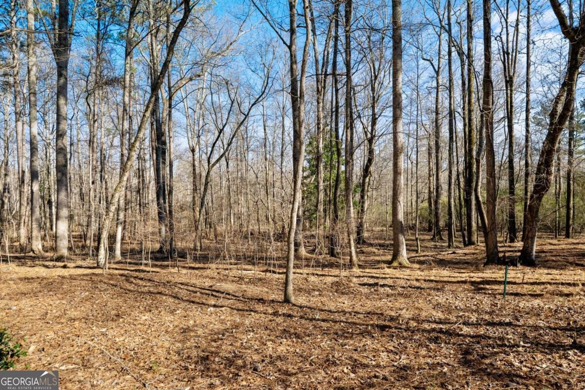 1660 Carlson Lane Marietta - Photo 70