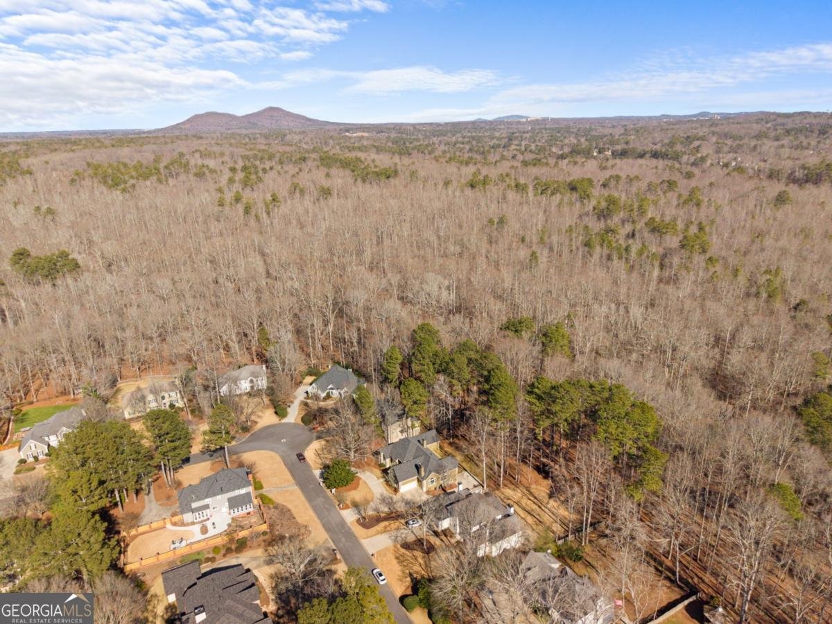 1660 Carlson Lane Marietta - Photo 8