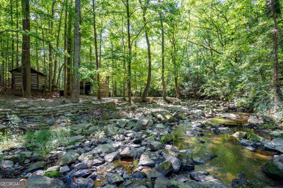 1660 Carlson Lane Marietta - Photo 86